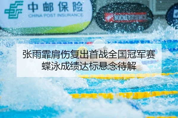 zhang-yu-fei-jian-shang-fu-chu-shou-zhan-quan-guo-guan-jun-sai-die-yong-cheng-ji-da-biao-xuan-nian-dai-jie-2-561.jpg