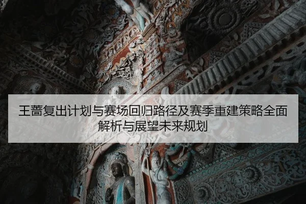 王蔷复出计划与赛场回归路径及赛季重建策略全面解析与展望未来规划 - yaxin