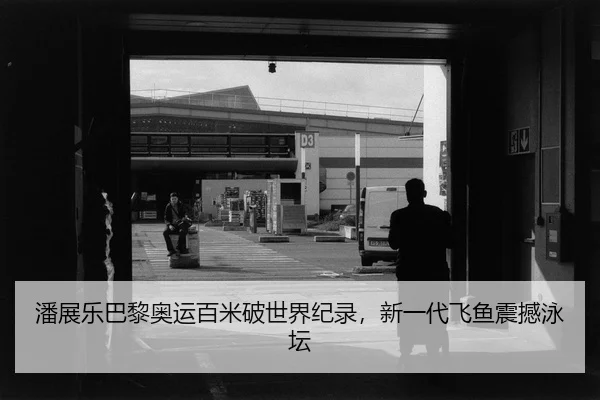 潘展乐巴黎奥运百米破世界纪录，新一代飞鱼震撼泳坛 - yaxin
